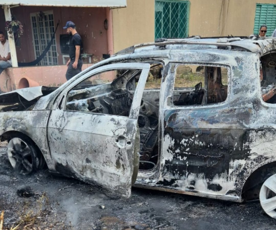 (foto: divulgação/ CBMG)