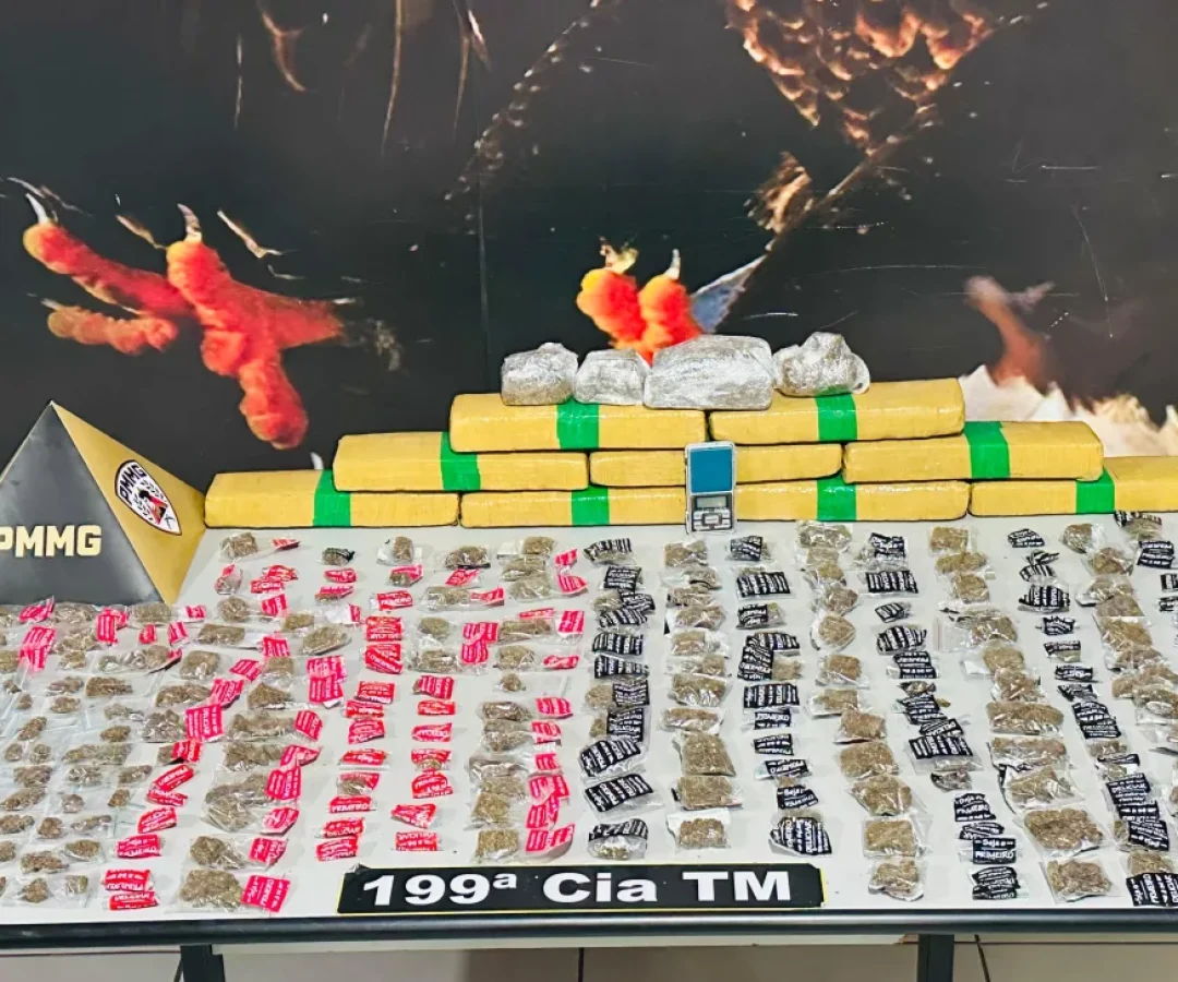 (foto: divulgação/ PMMG)