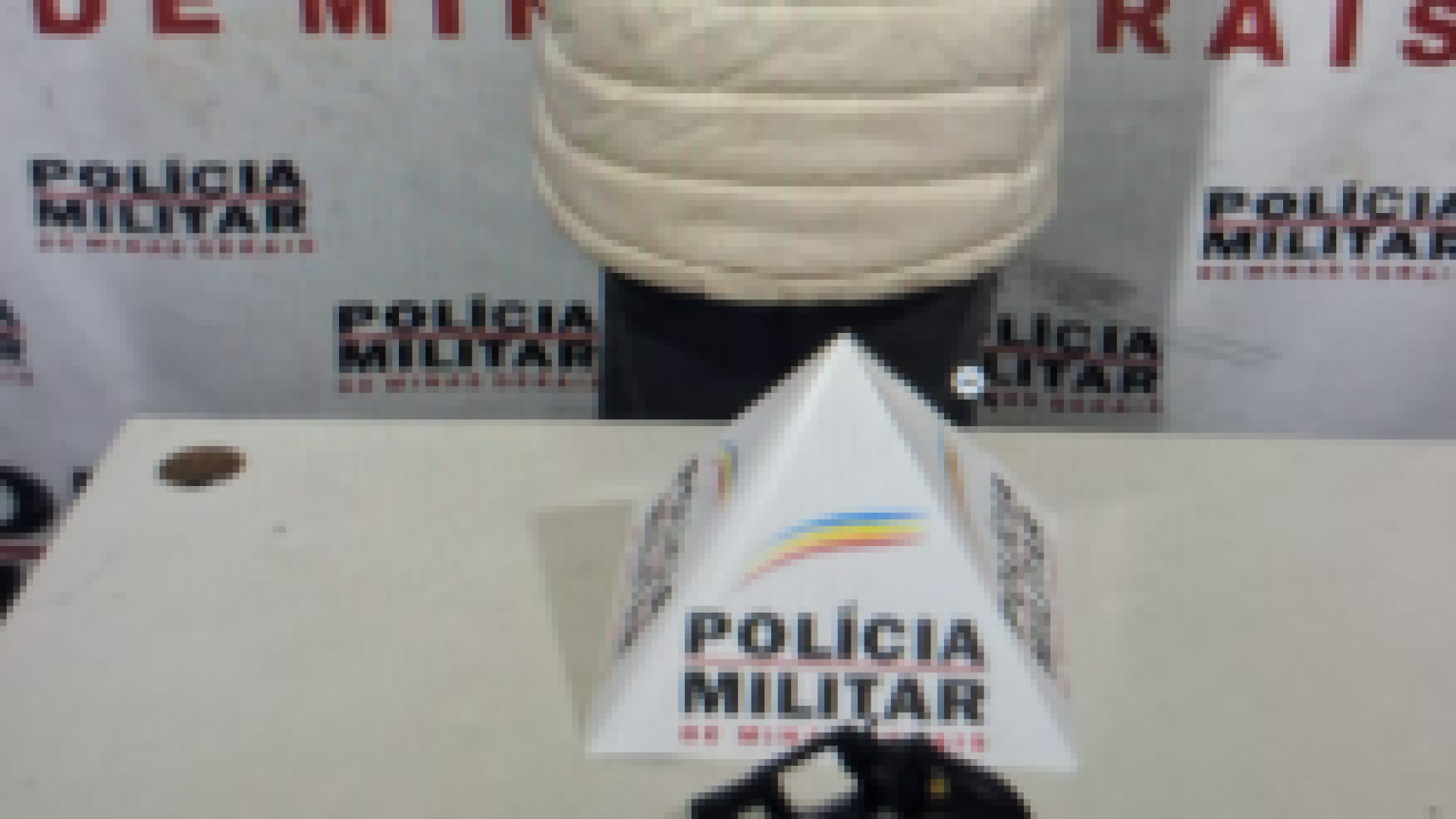 (foto: divulgação/ PMMG)