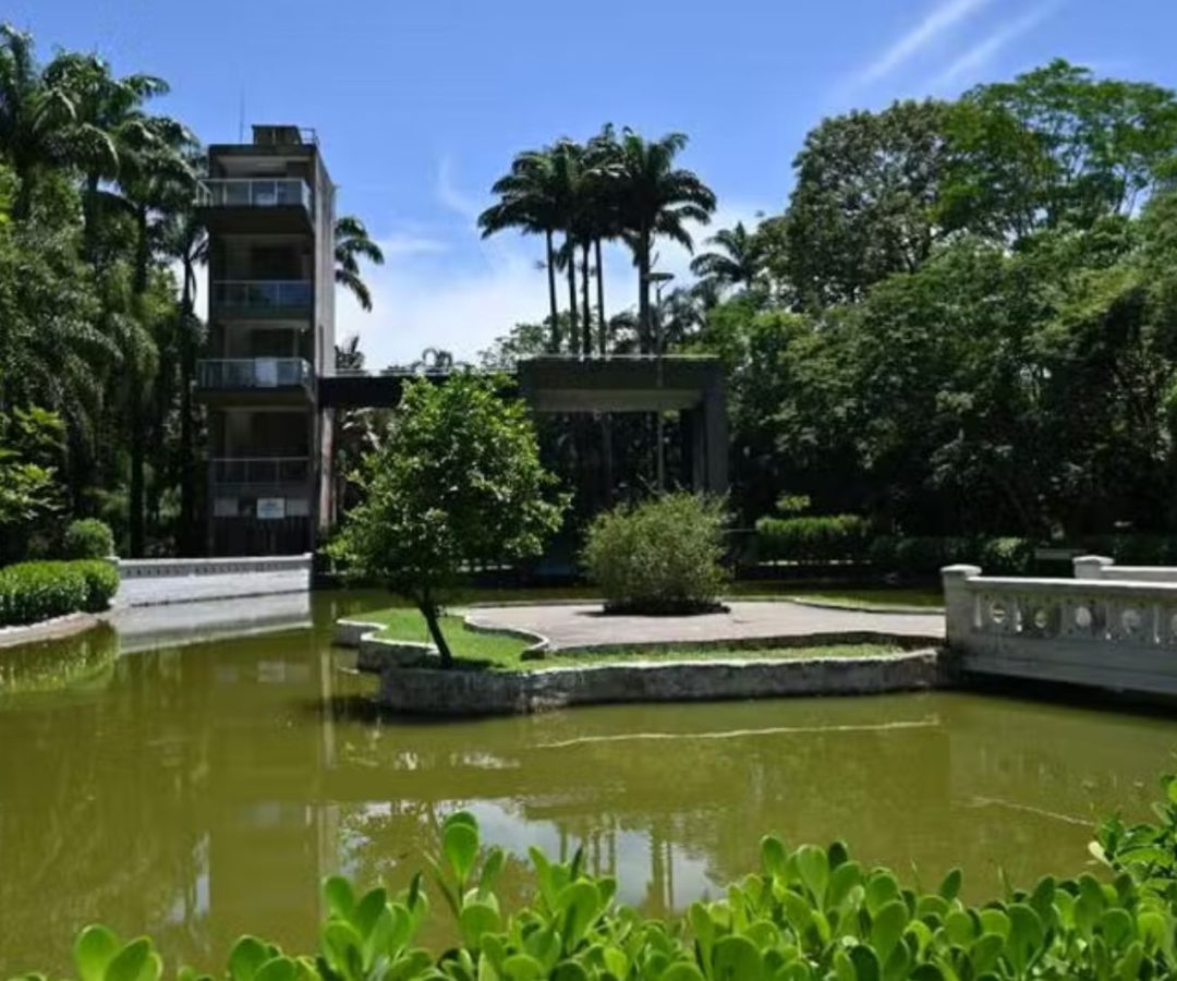 programação gratuita em Santos