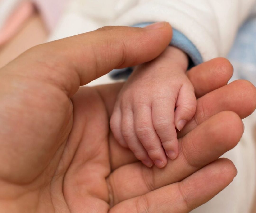 Foto: Reprodução internet