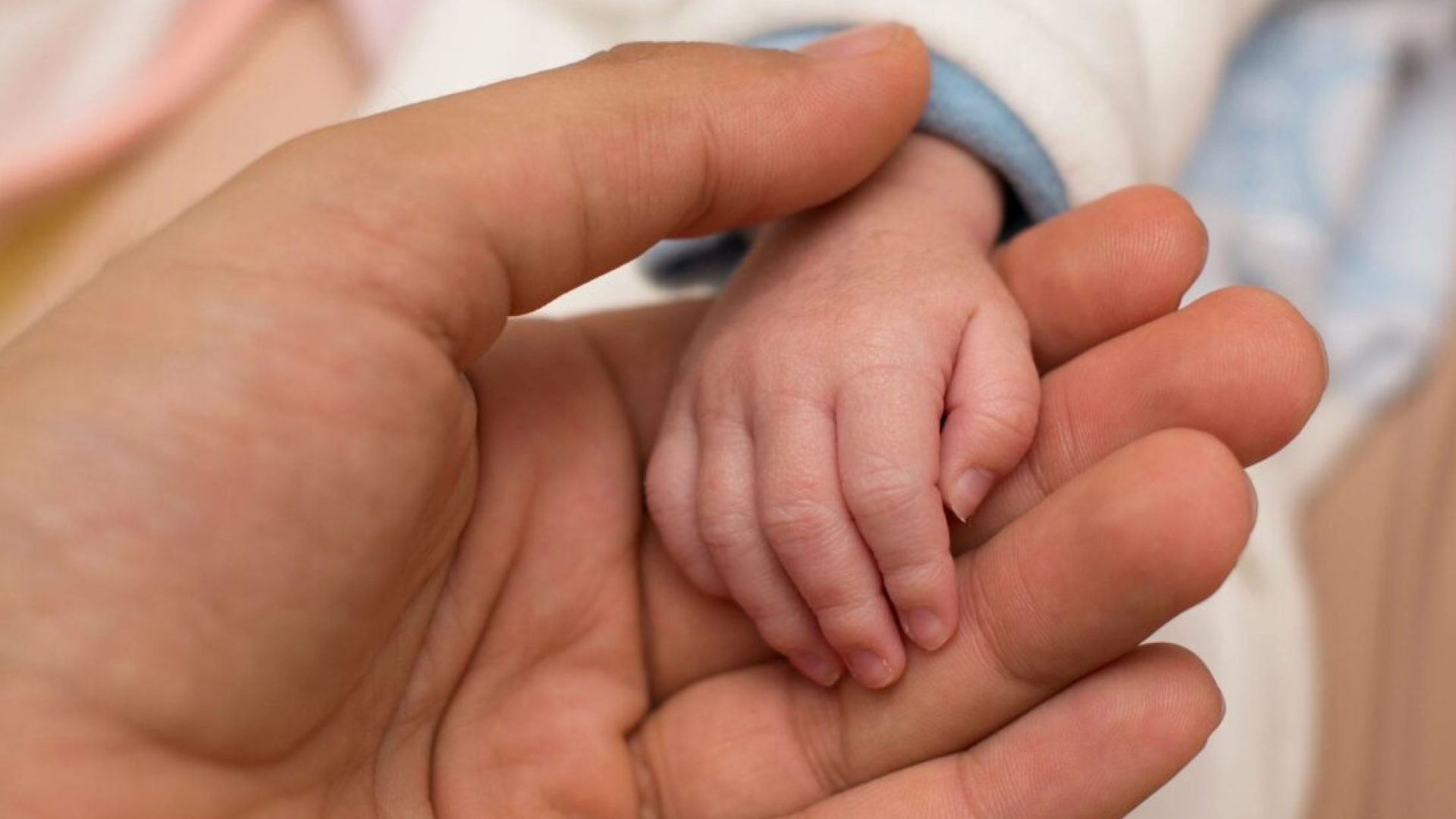 Foto: Reprodução internet