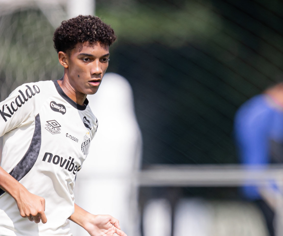 Foto: Raul Baretta / Santos FC