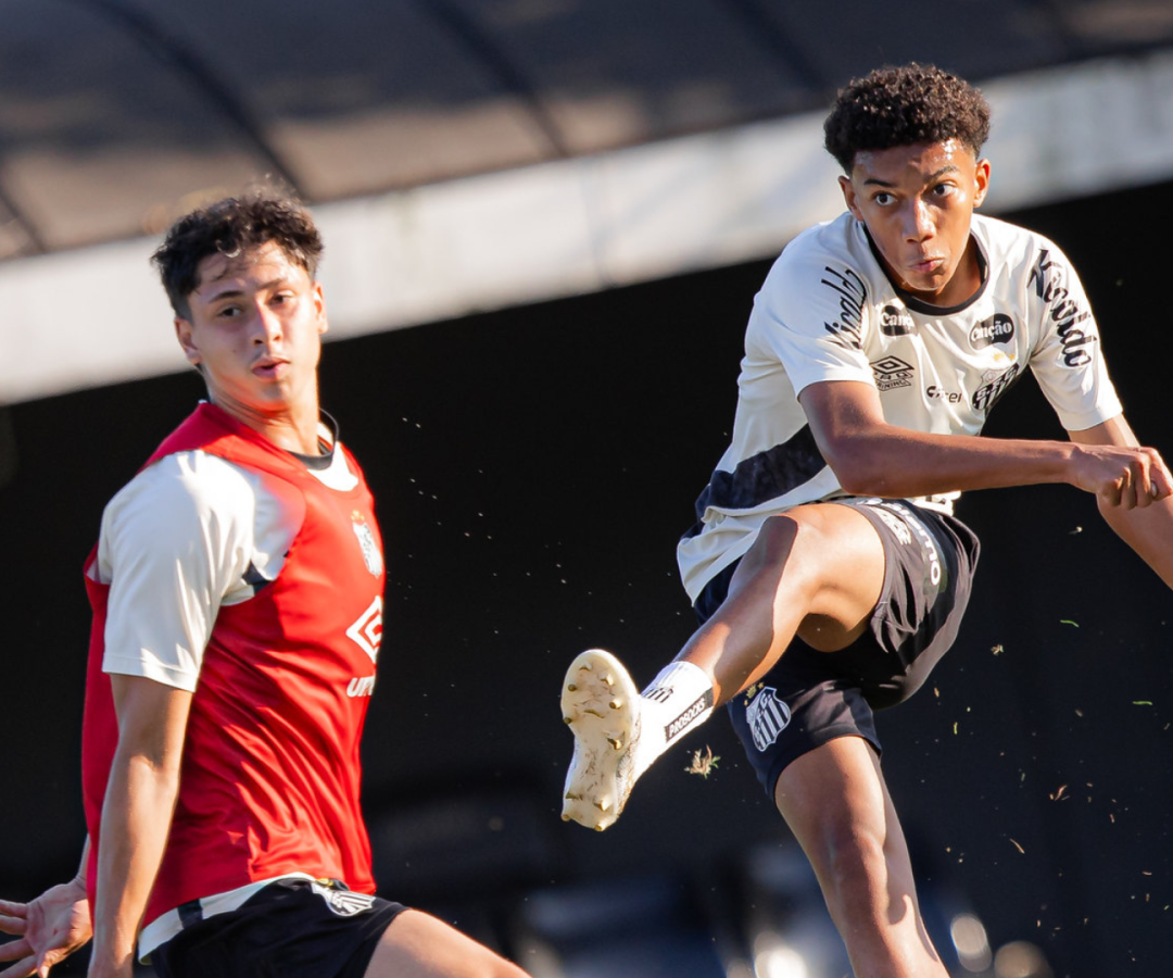 Foto: Raul Baretta / Santos FC