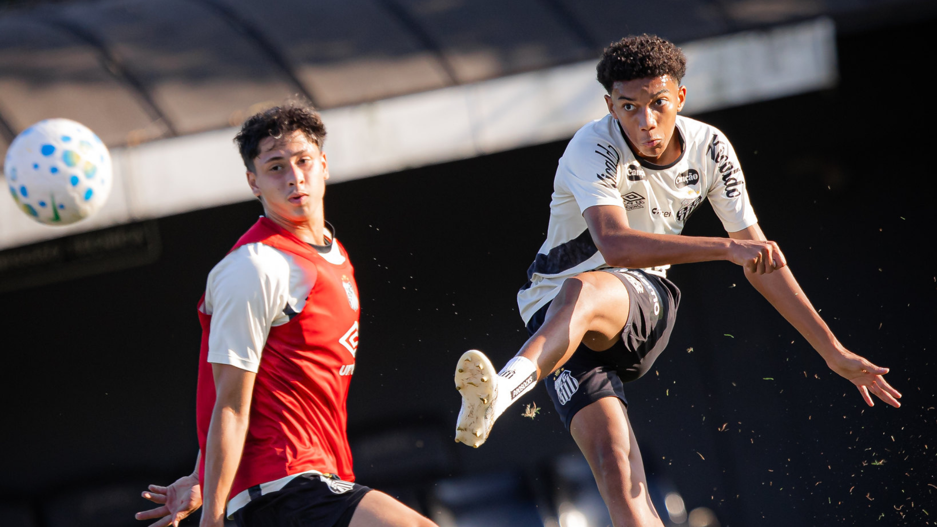 Foto: Raul Baretta / Santos FC