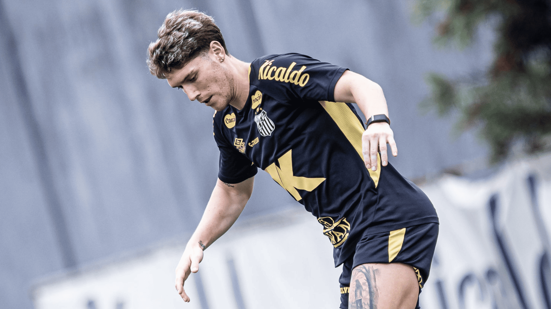 Foto: Raul Baretta / Santos FC