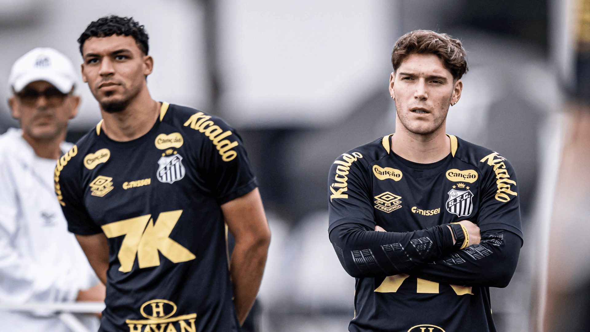 Foto: Raul Baretta / Santos FC