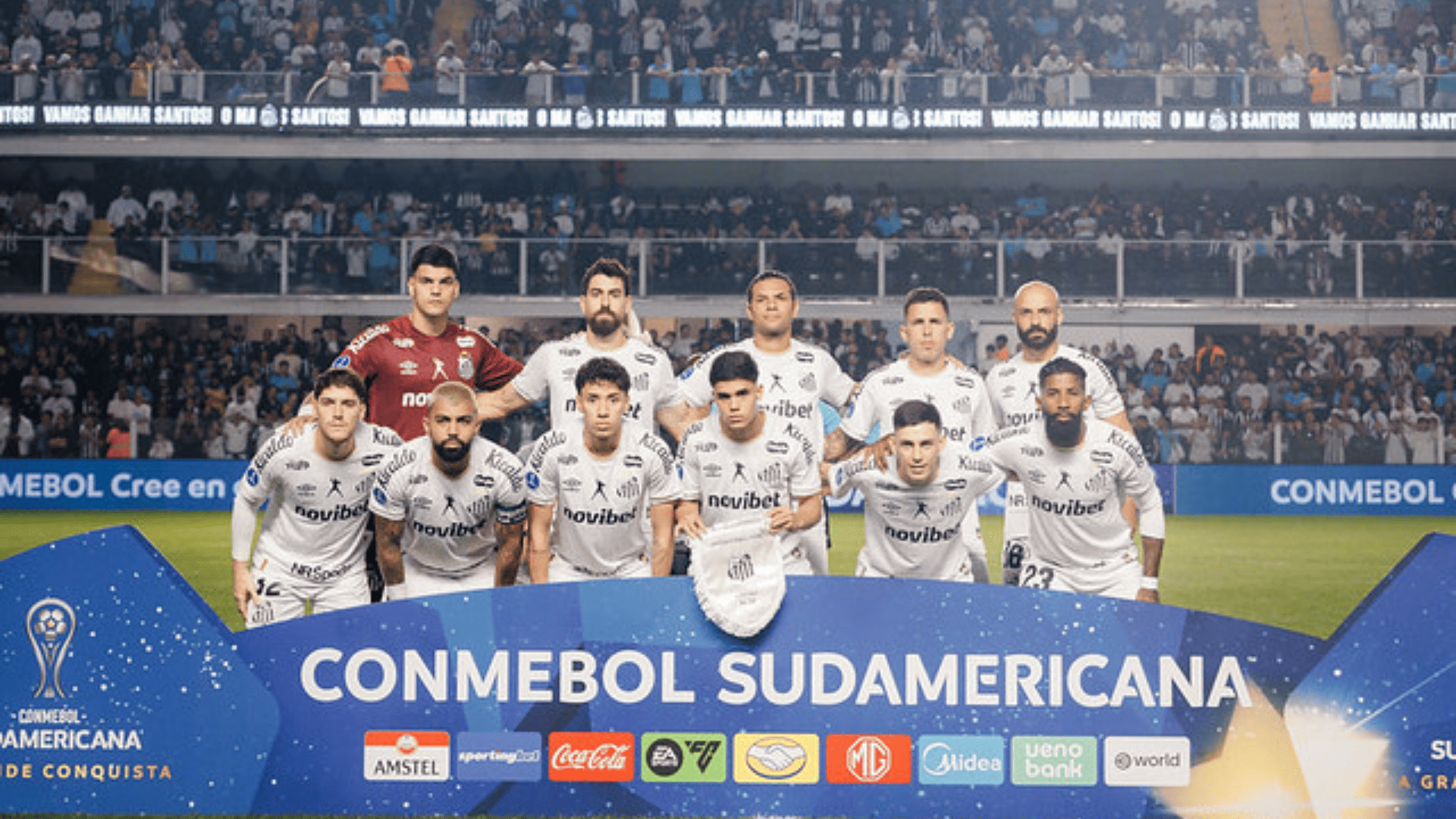 Foto: Raul Baretta / Santos FC