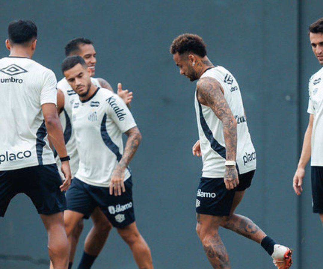 Foto: Raul Baretta / Santos FC