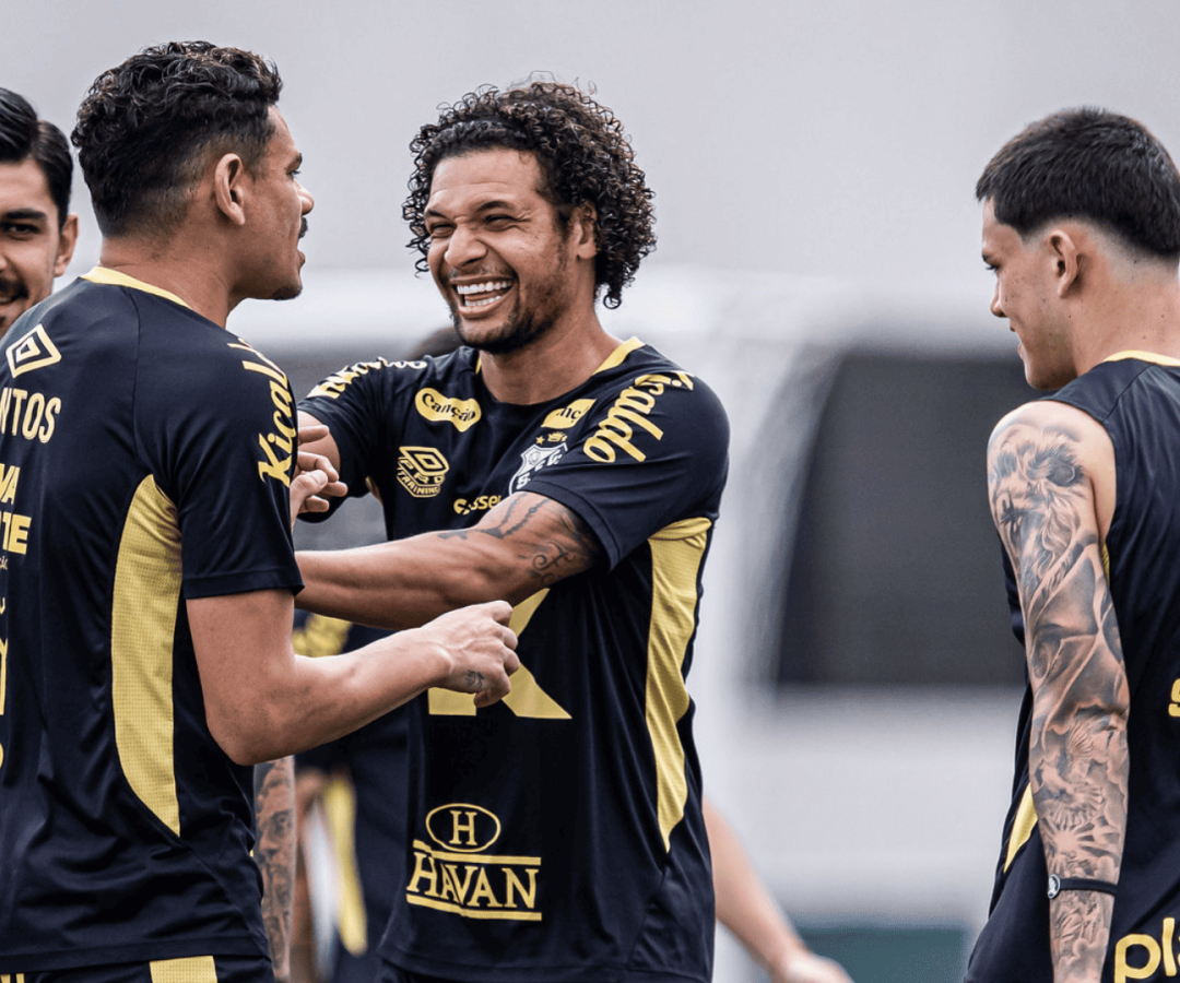 Foto: Raul Baretta / Santos FC