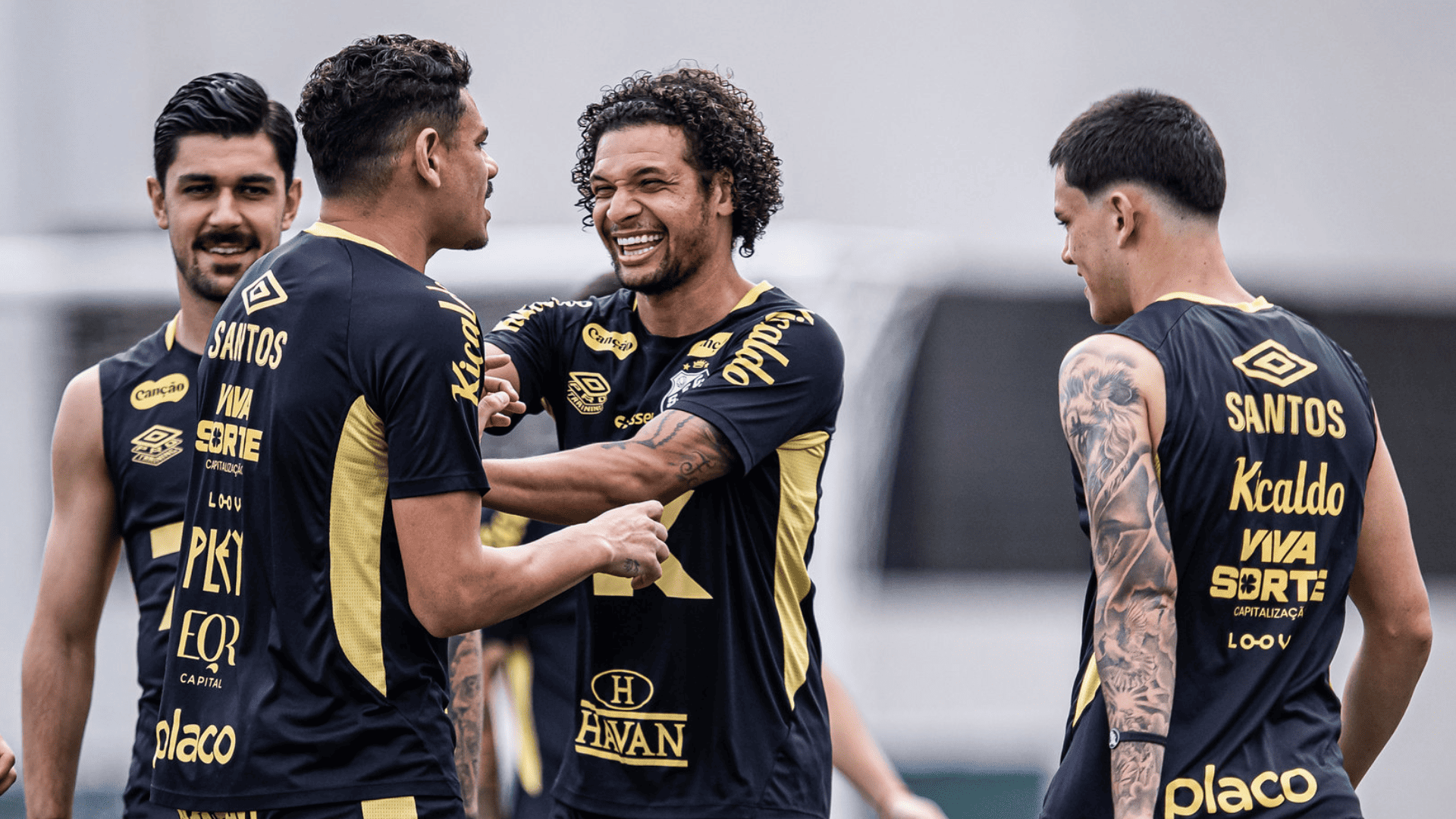 Foto: Raul Baretta / Santos FC