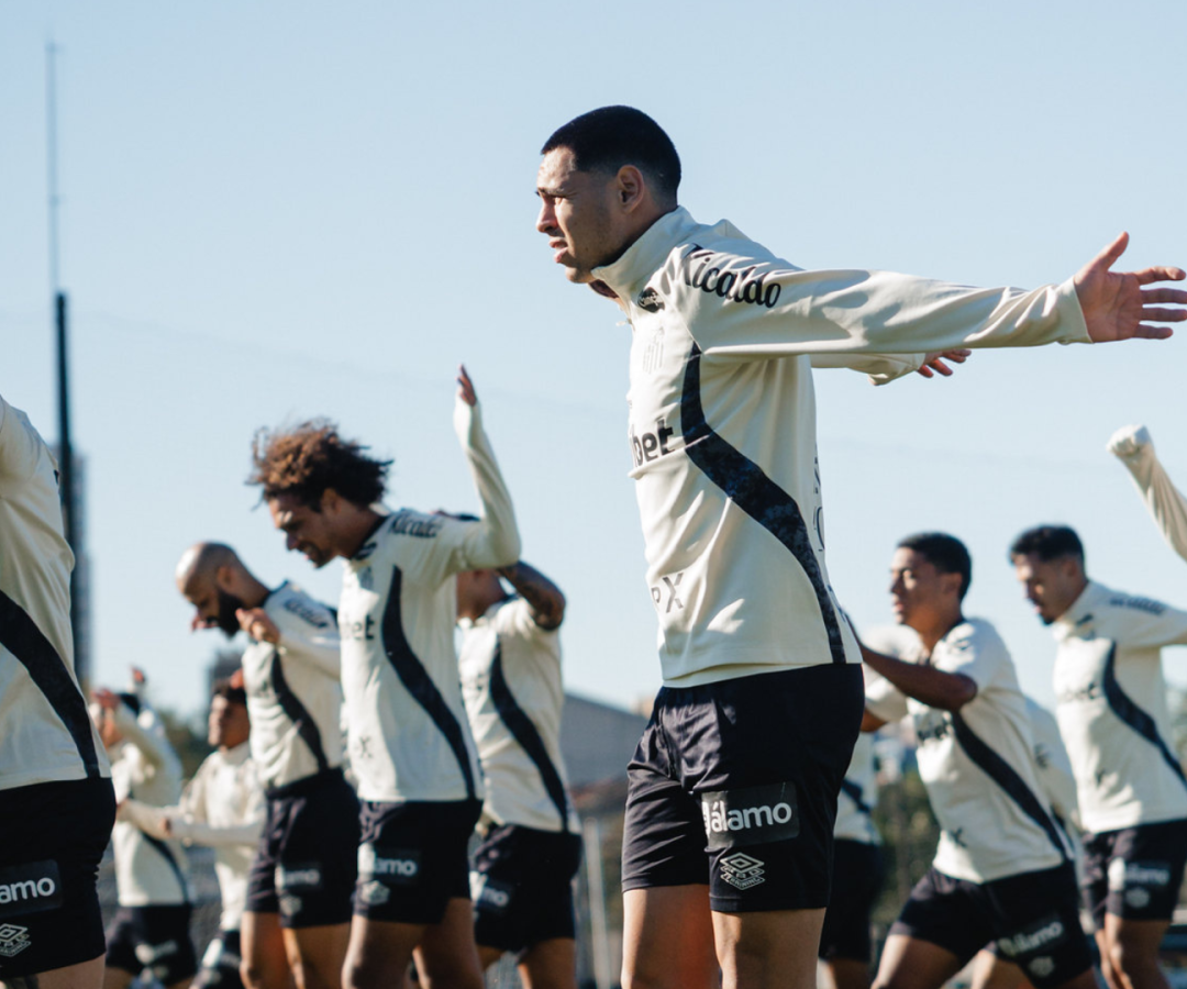 Foto: Raul Baretta / Santos FC