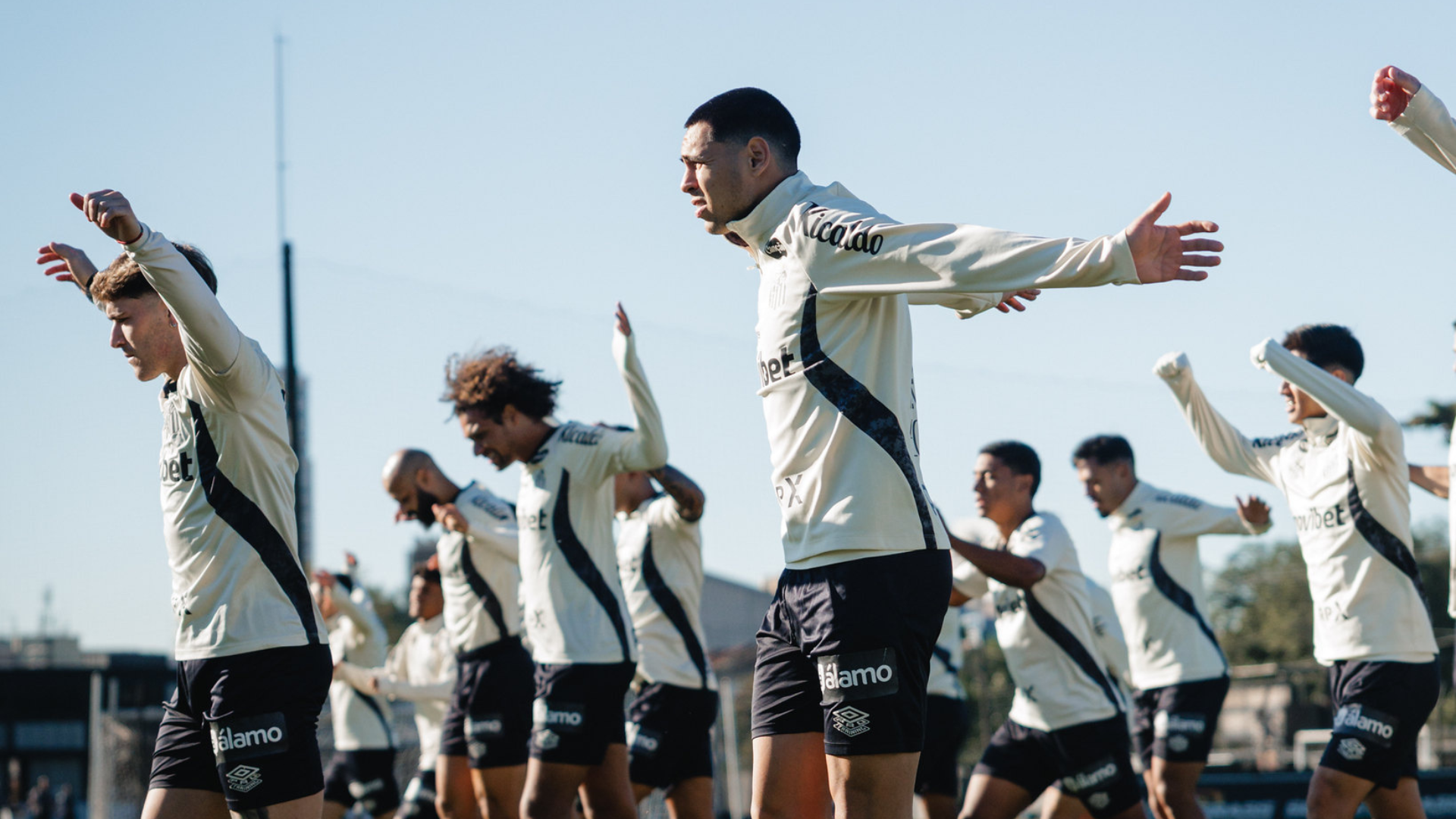 Foto: Raul Baretta / Santos FC