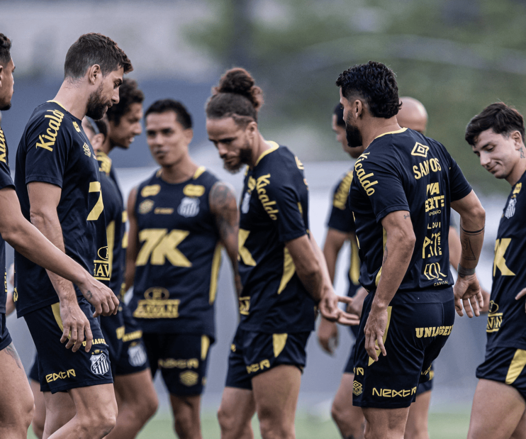 Foto: Raul Baretta / Santos FC