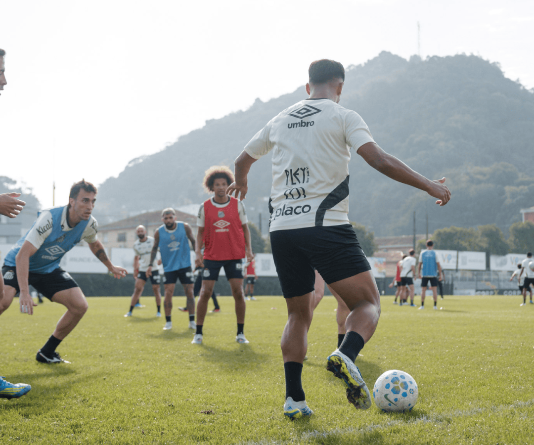 Foto: Raul Baretta / Santos FC