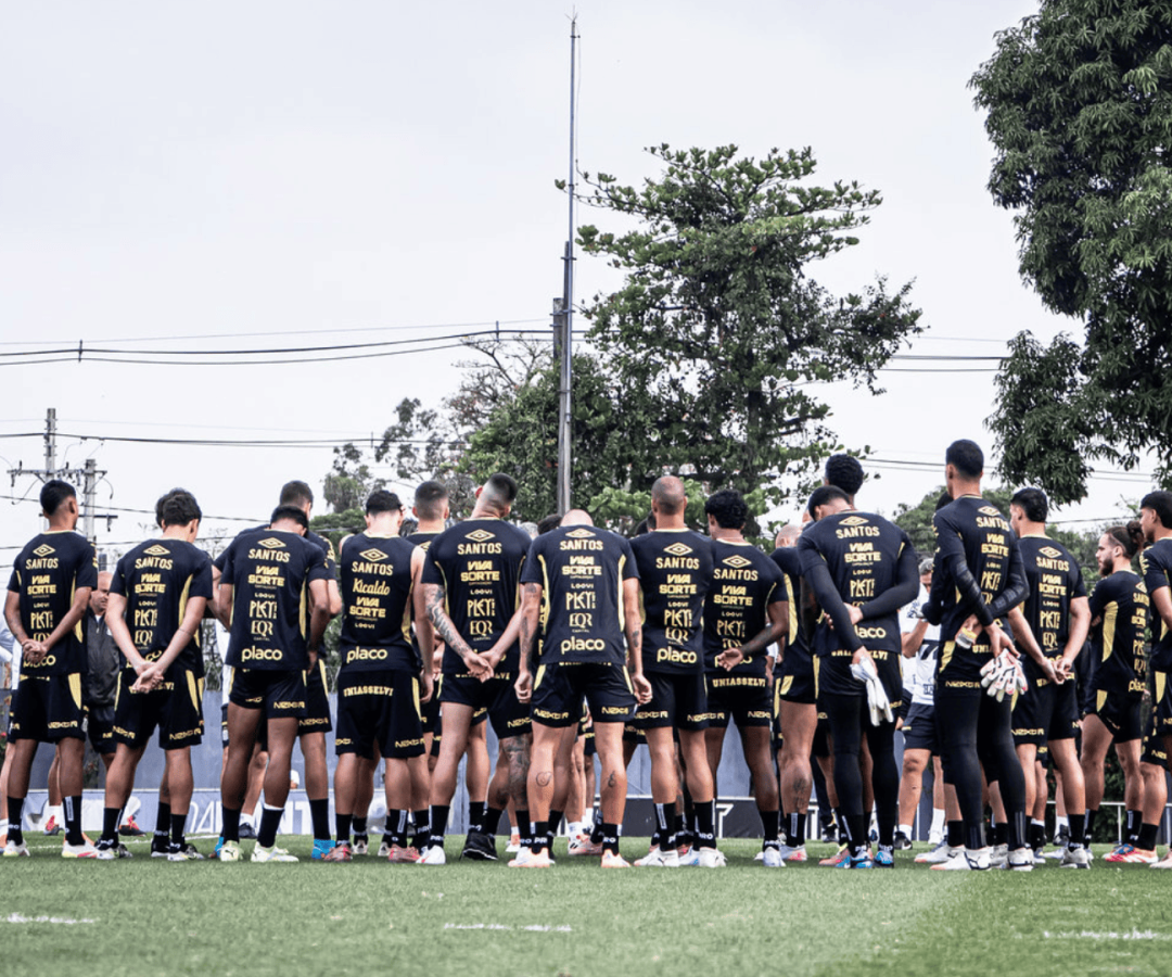 Foto: Raul Baretta / Santos FC