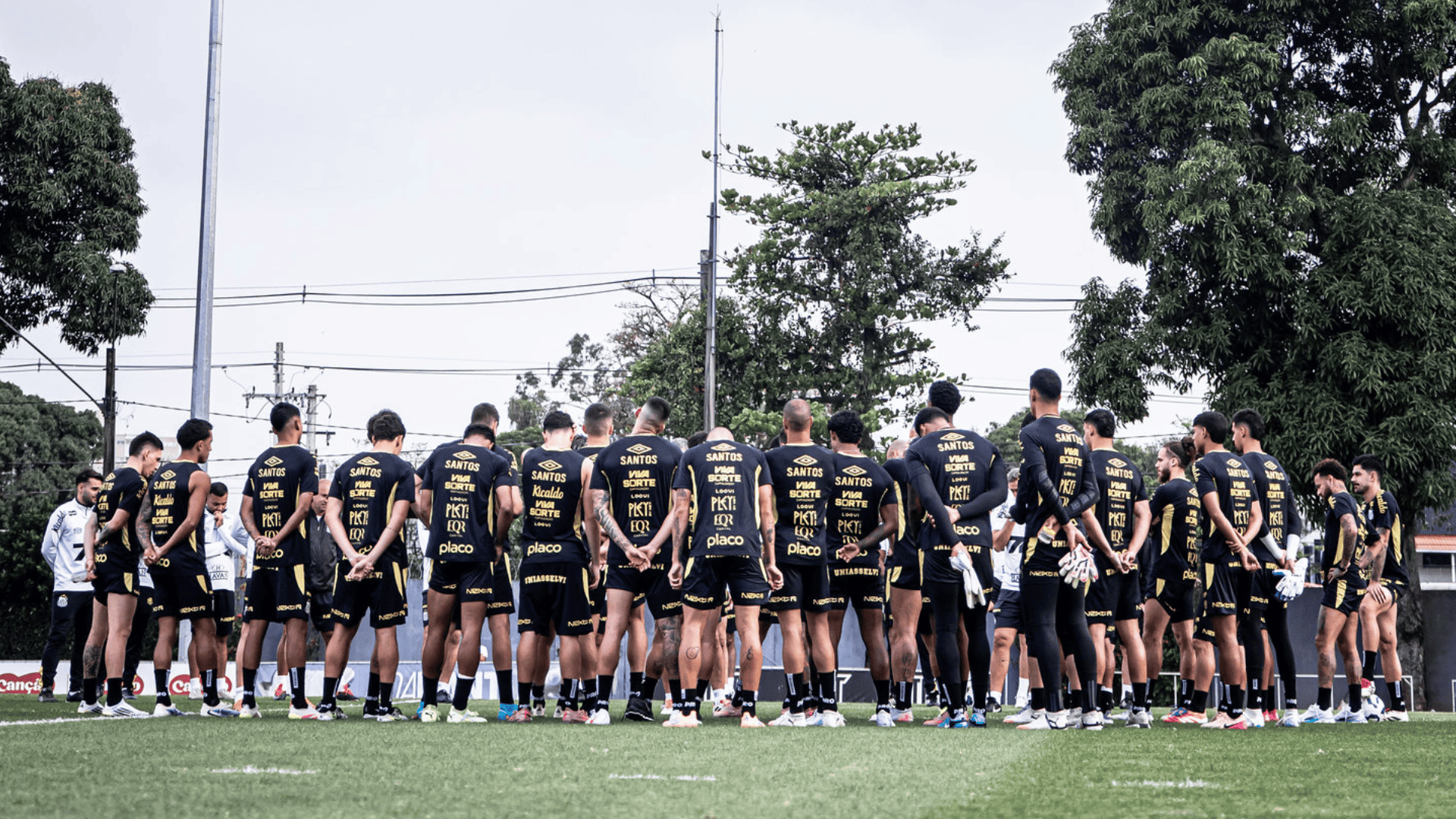 Foto: Raul Baretta / Santos FC