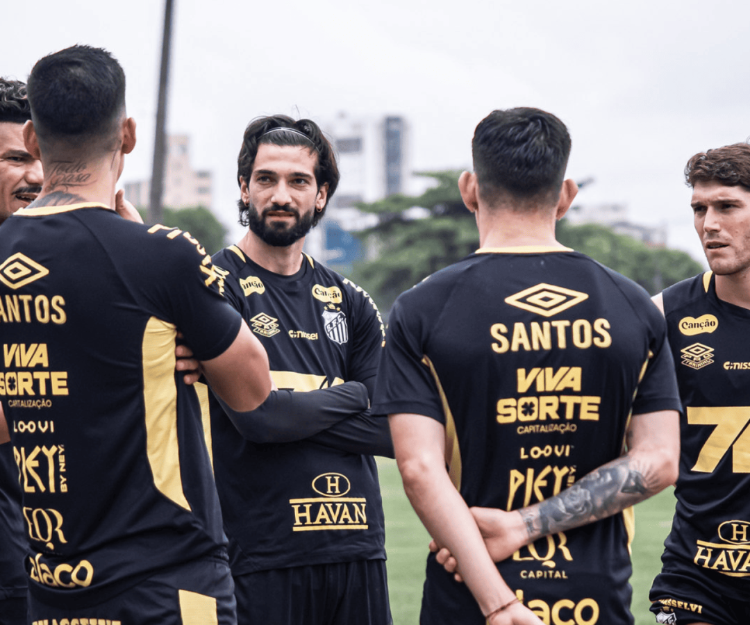 Foto: Raul Baretta / Santos FC