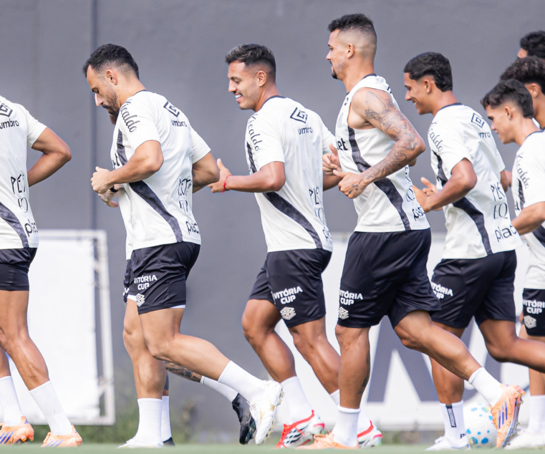 Foto: Raul Baretta / Santos FC