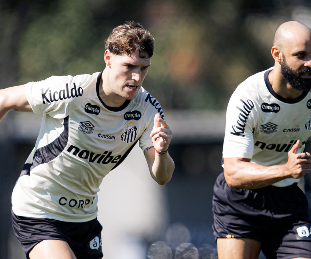 Foto: Raul Baretta / Santos FC