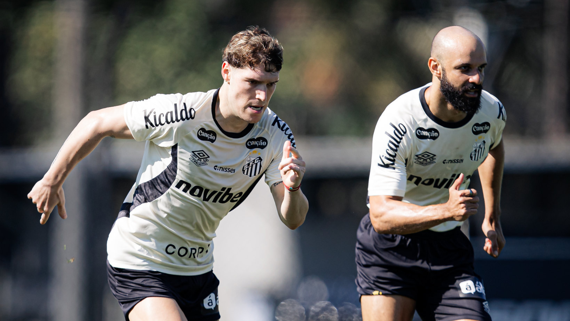 Foto: Raul Baretta / Santos FC