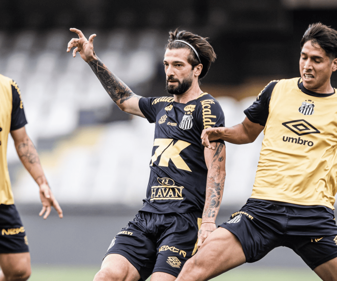 Foto: Raul Baretta / Santos FC