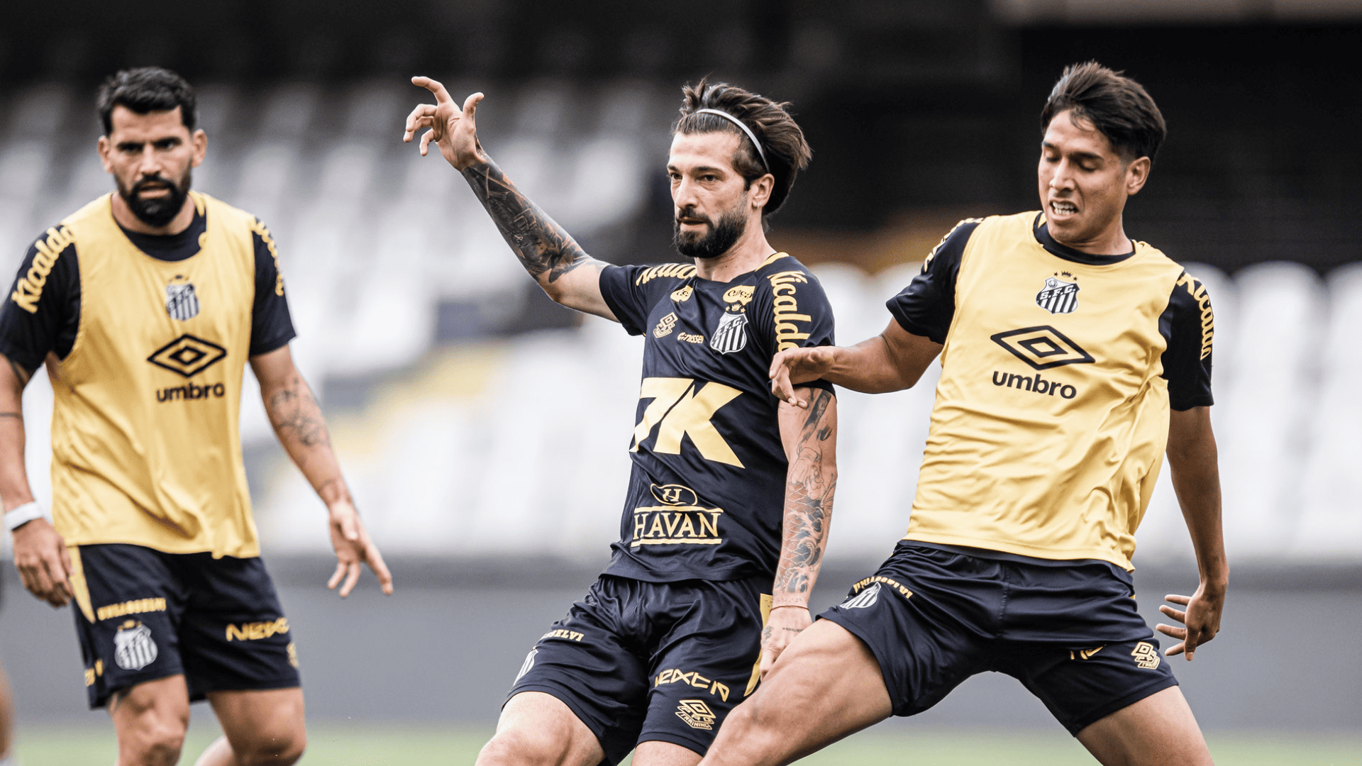 Foto: Raul Baretta / Santos FC
