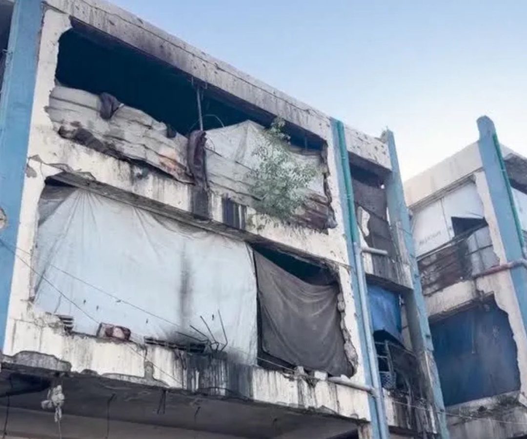 saúde em Gaza