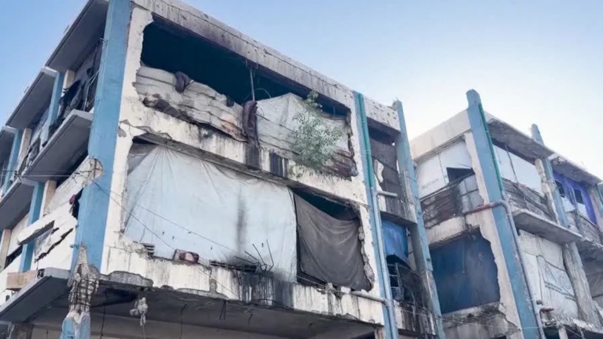 saúde em Gaza