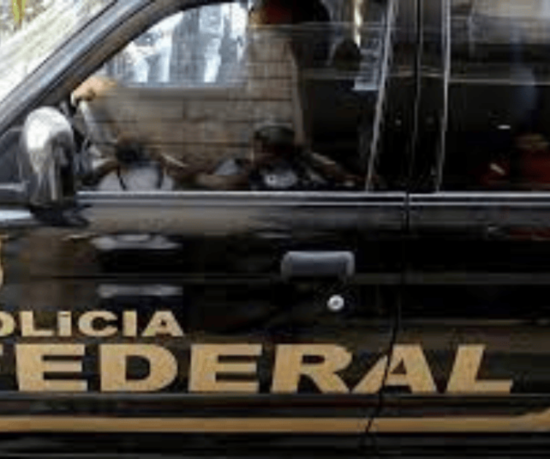 segurança publica (800 x 535 px) (800 x 535 px) (800 x 535 px) (800 x 535 px) (800 x 535 px) (800 x 535 px) (2)