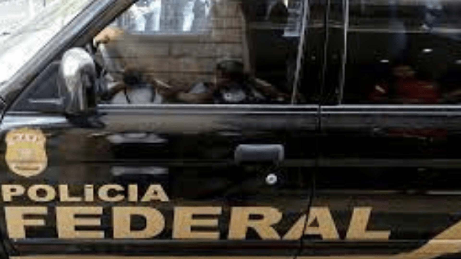 segurança publica (800 x 535 px) (800 x 535 px) (800 x 535 px) (800 x 535 px) (800 x 535 px) (800 x 535 px) (2)