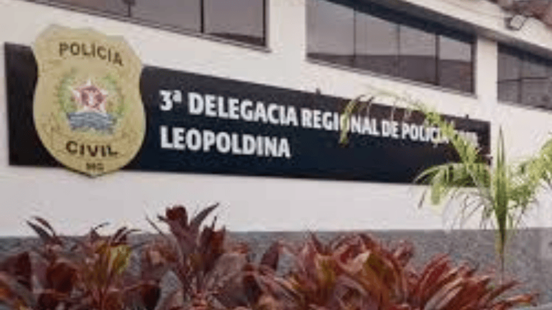 segurança publica (800 x 535 px) (800 x 535 px) (800 x 535 px) (800 x 535 px) (800 x 535 px) (800 x 535 px) (4)
