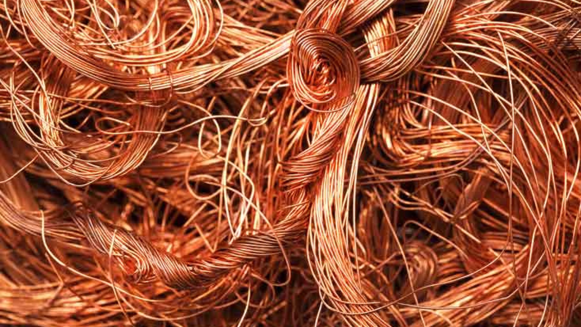 Reprodução internet