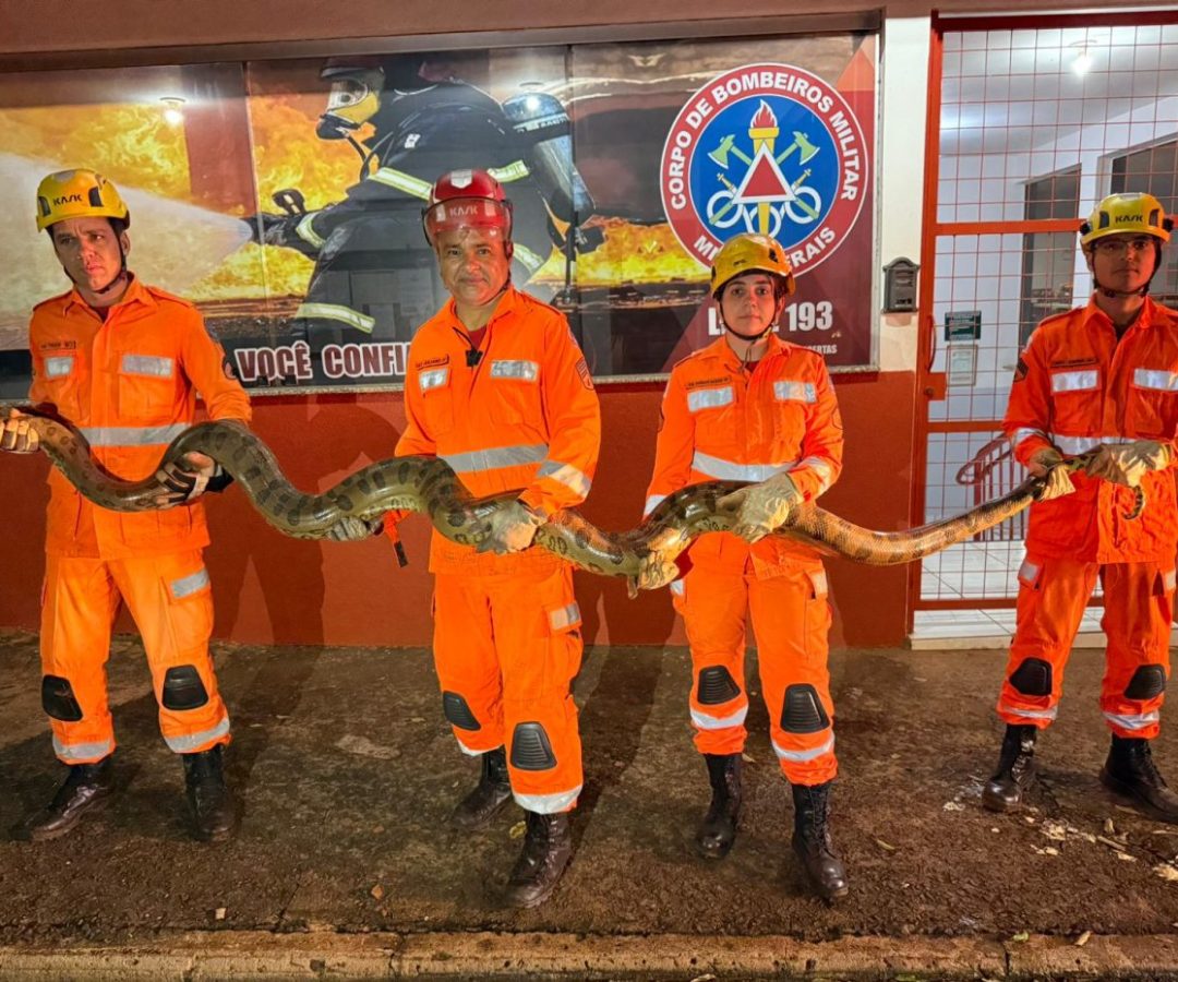 (foto: divulgação/ Corpo de Bombeiros)