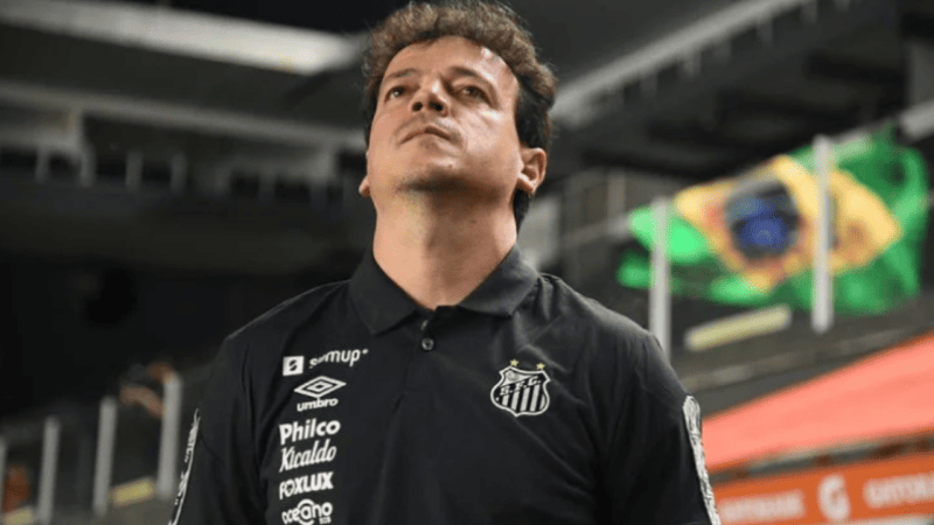 No dia 14 de abril, o Santos anunciou a demissão do técnico português Pedro Caixinha. Desde então, o Peixe não escolheu um sucessor.