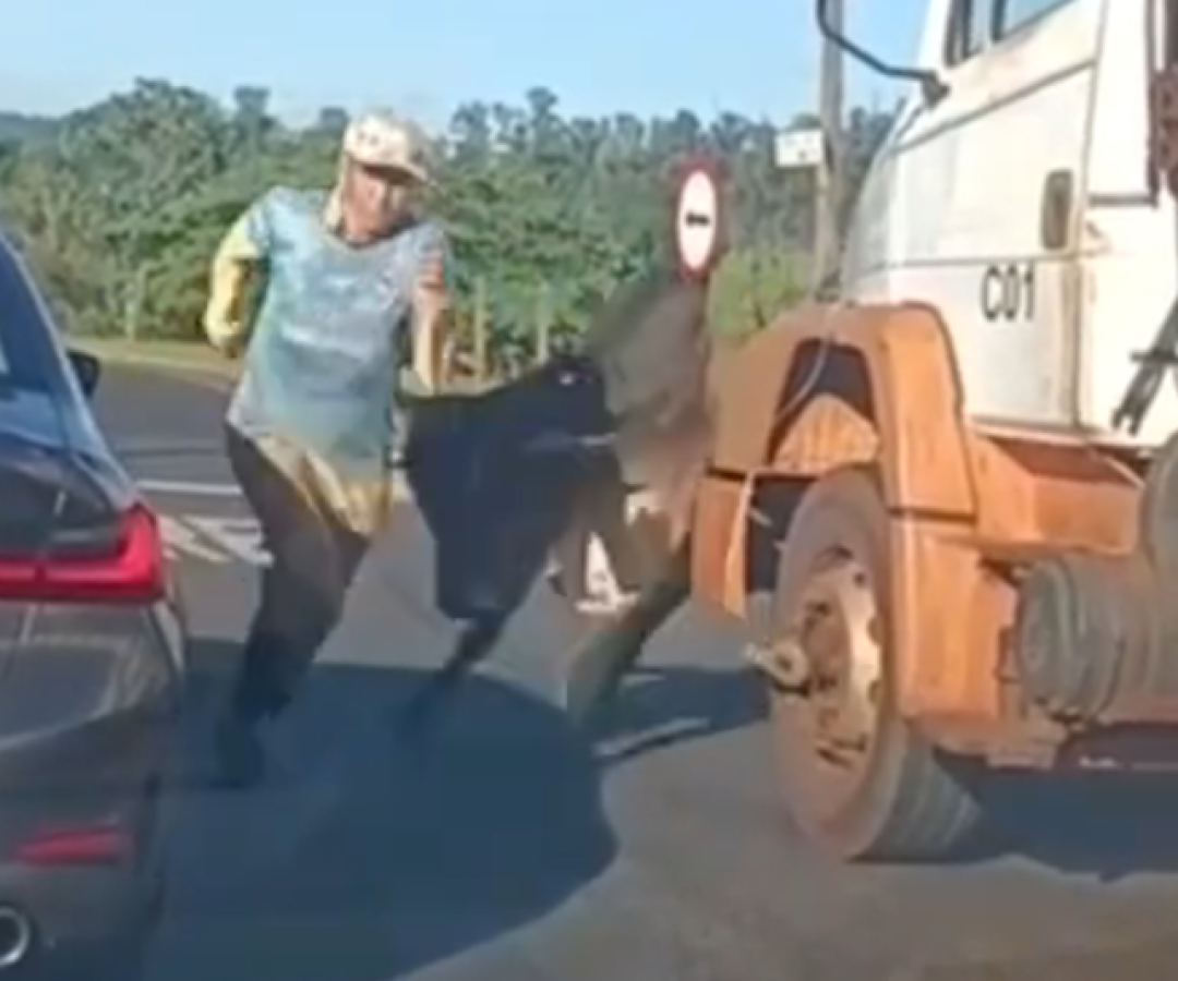 touro-ataca-bmw-ribeirao-preto