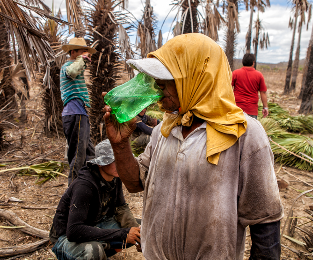 Trabalho análogo a escravidão é denunciado pela lista suja Foto: Reprodução