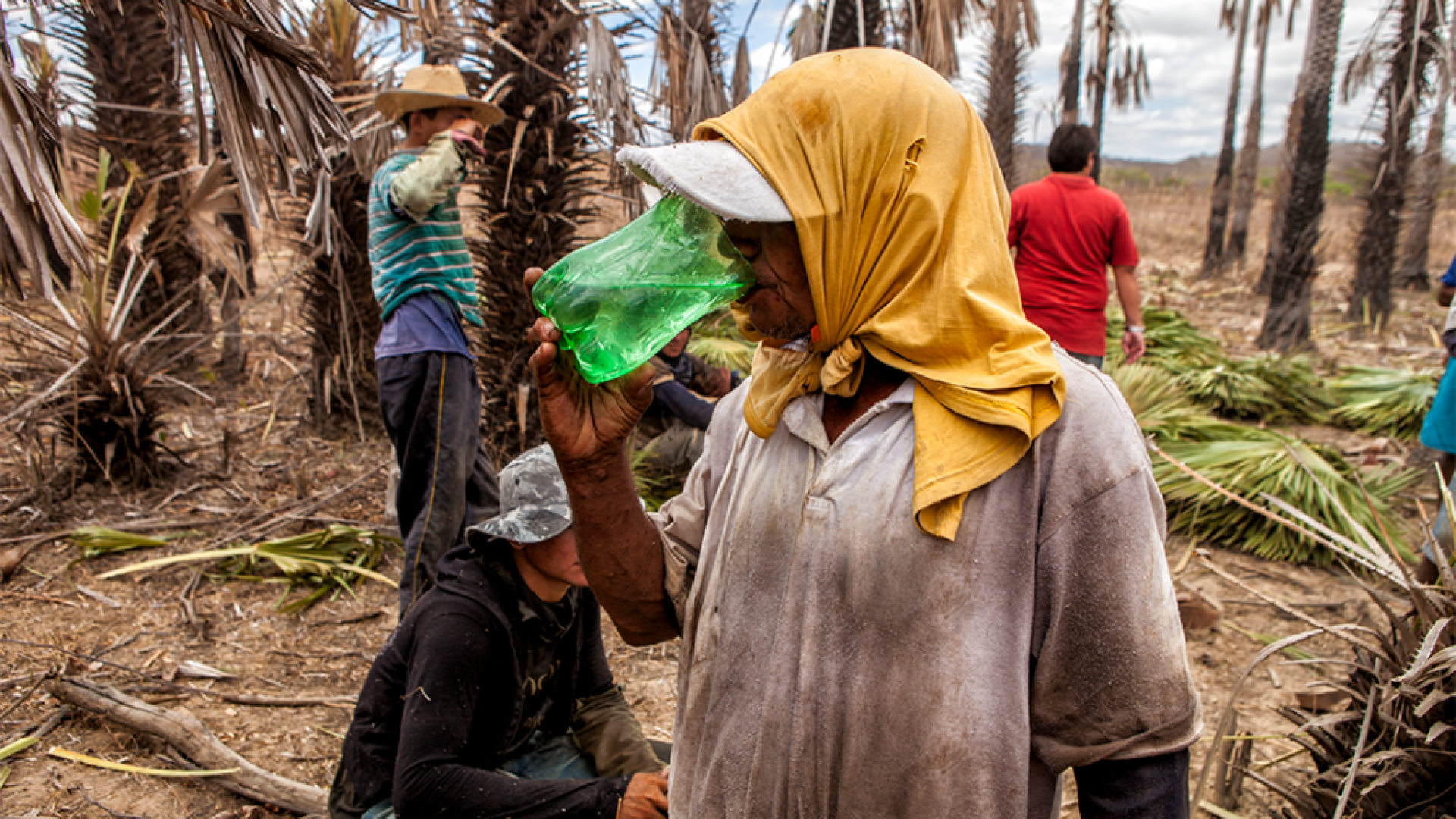 Trabalho análogo a escravidão é denunciado pela lista suja Foto: Reprodução