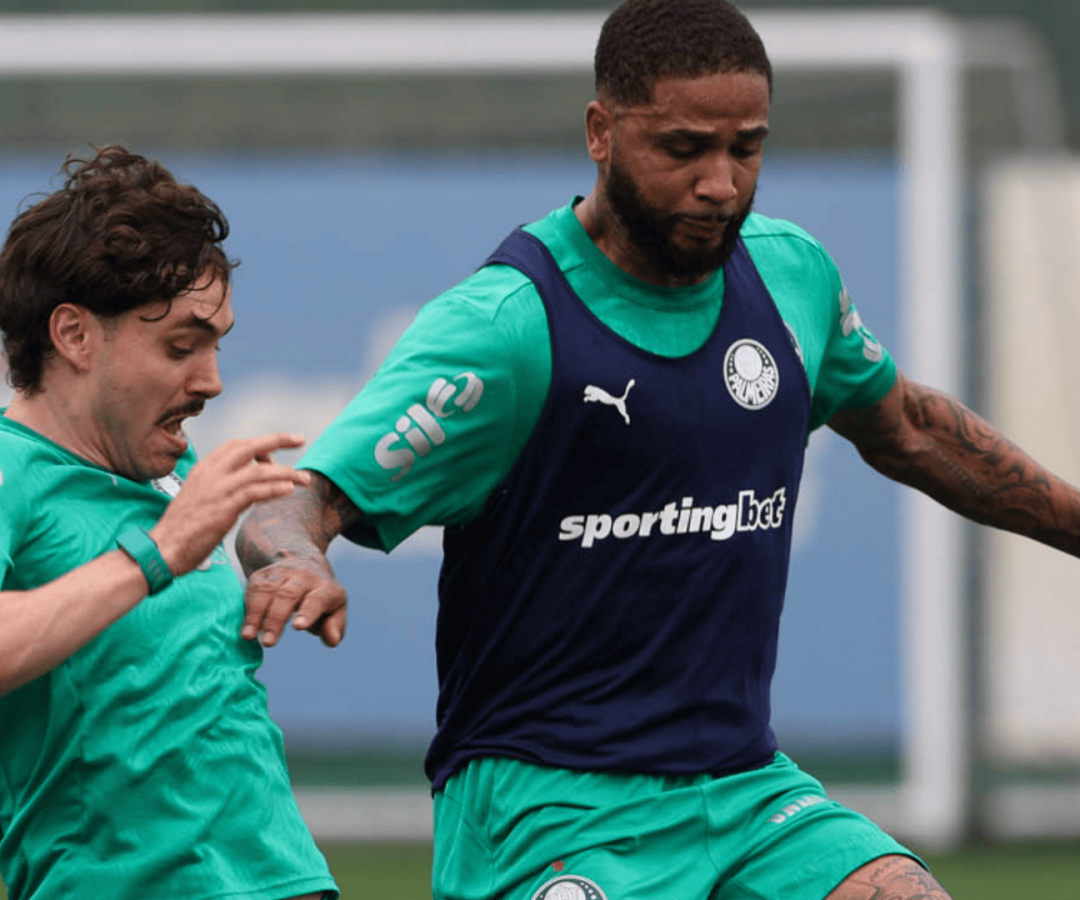 Foto: Cesar Greco / Palmeiras / by Canon