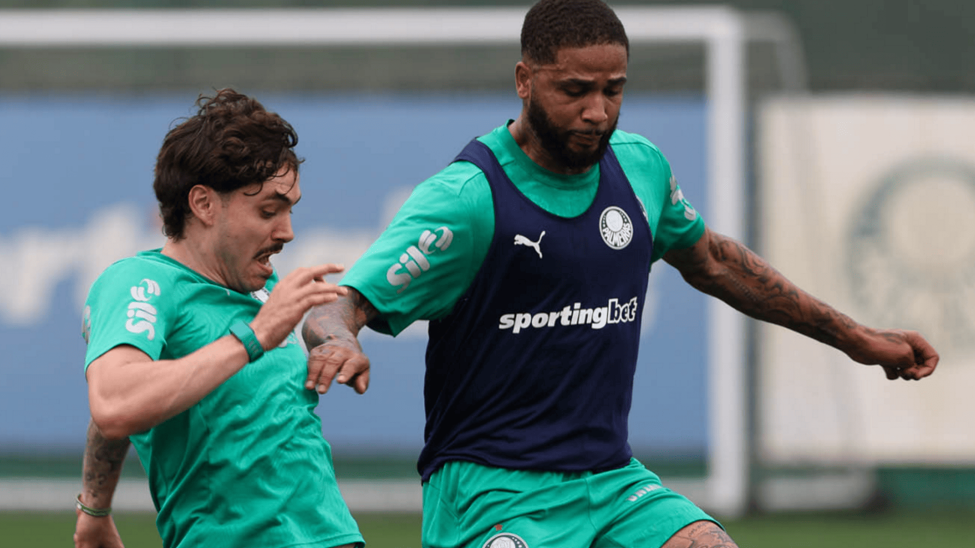 Foto: Cesar Greco / Palmeiras / by Canon