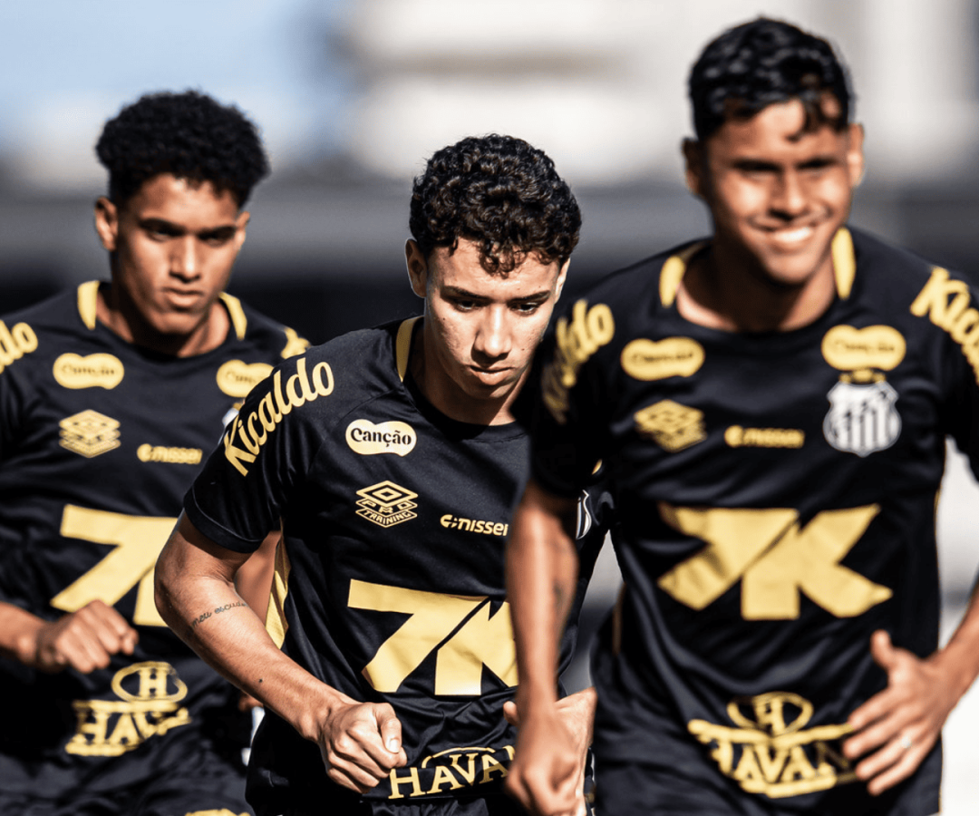 Foto: Raul Baretta / Santos FC