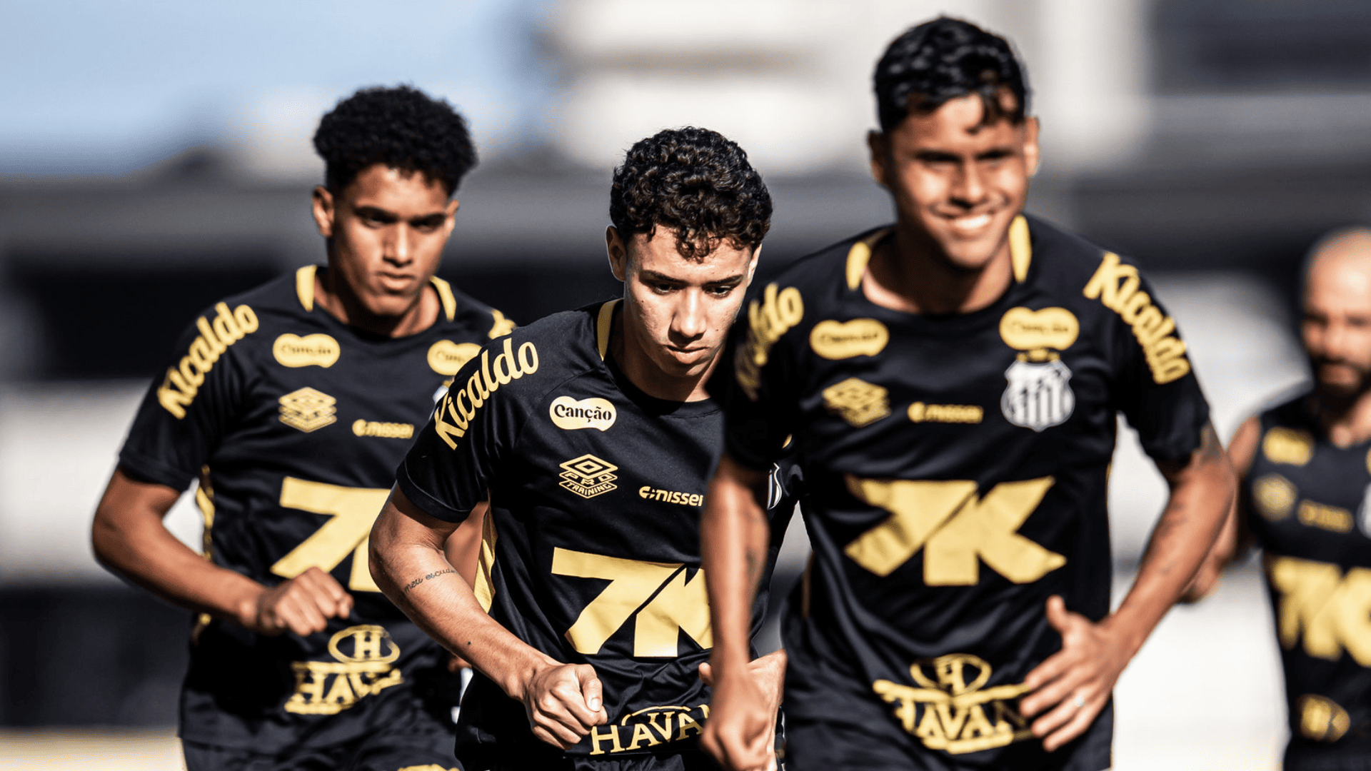 Foto: Raul Baretta / Santos FC