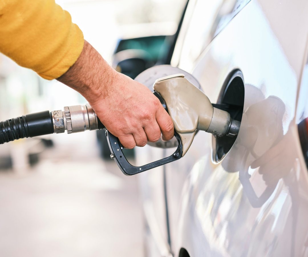 Foto: Reprodução/unsplash