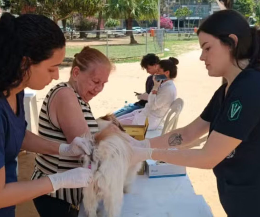 vacinação antirrábica em Juiz de Fora
