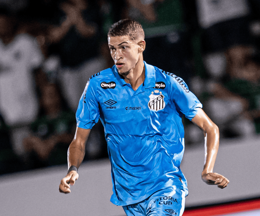 Foto: Raul Baretta / Santos FC