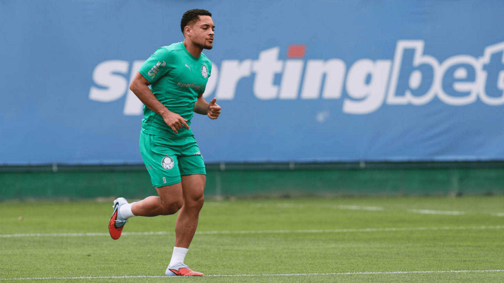 Foto: Cesar Greco / Palmeiras / by Canon