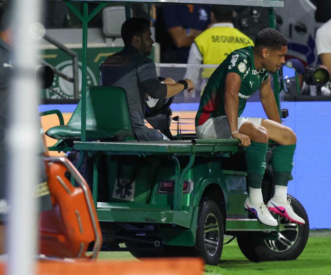 Foto: Cesar Greco / Palmeiras / by Canon