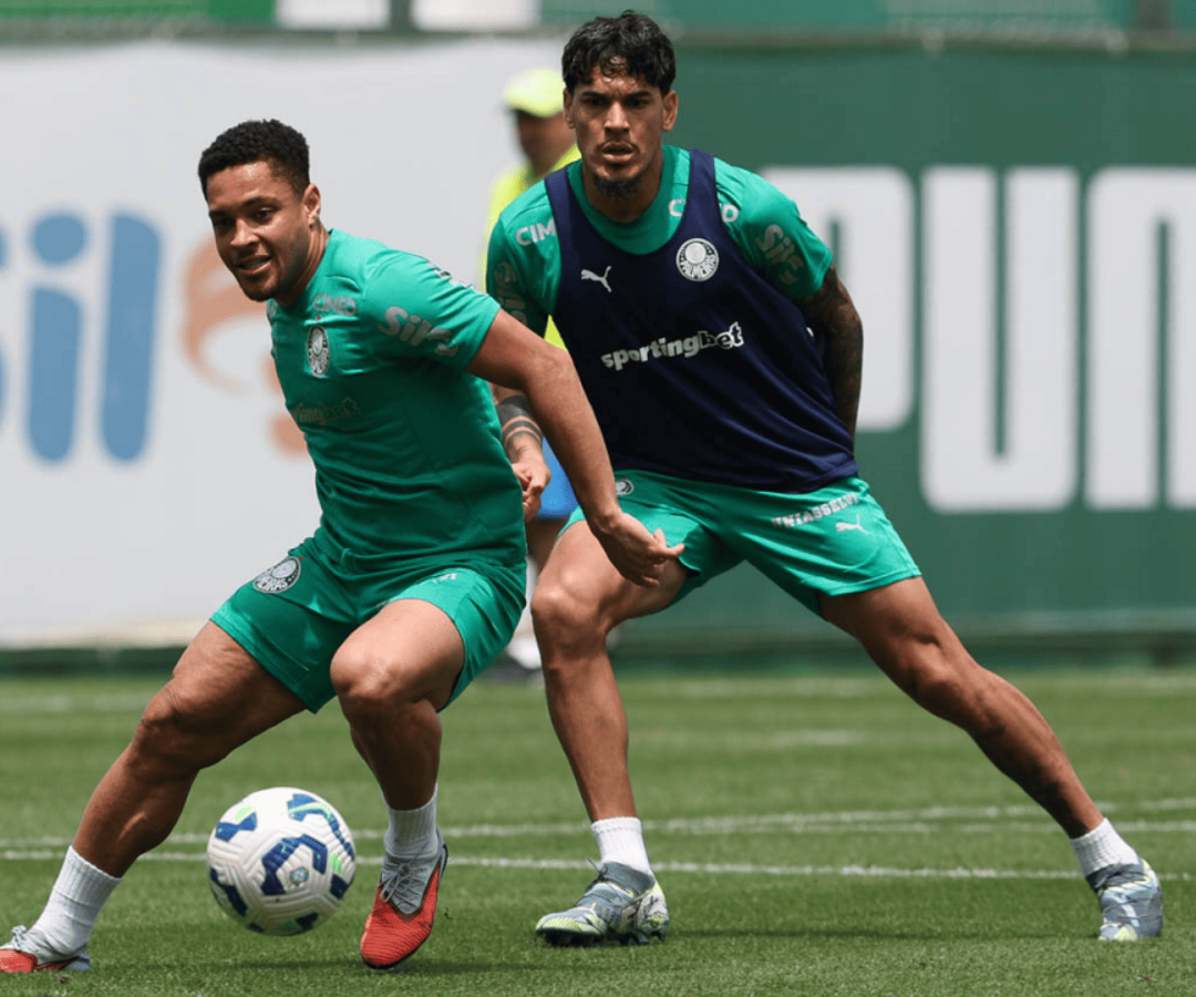 Foto: Cesar Greco / Palmeiras / by Canon