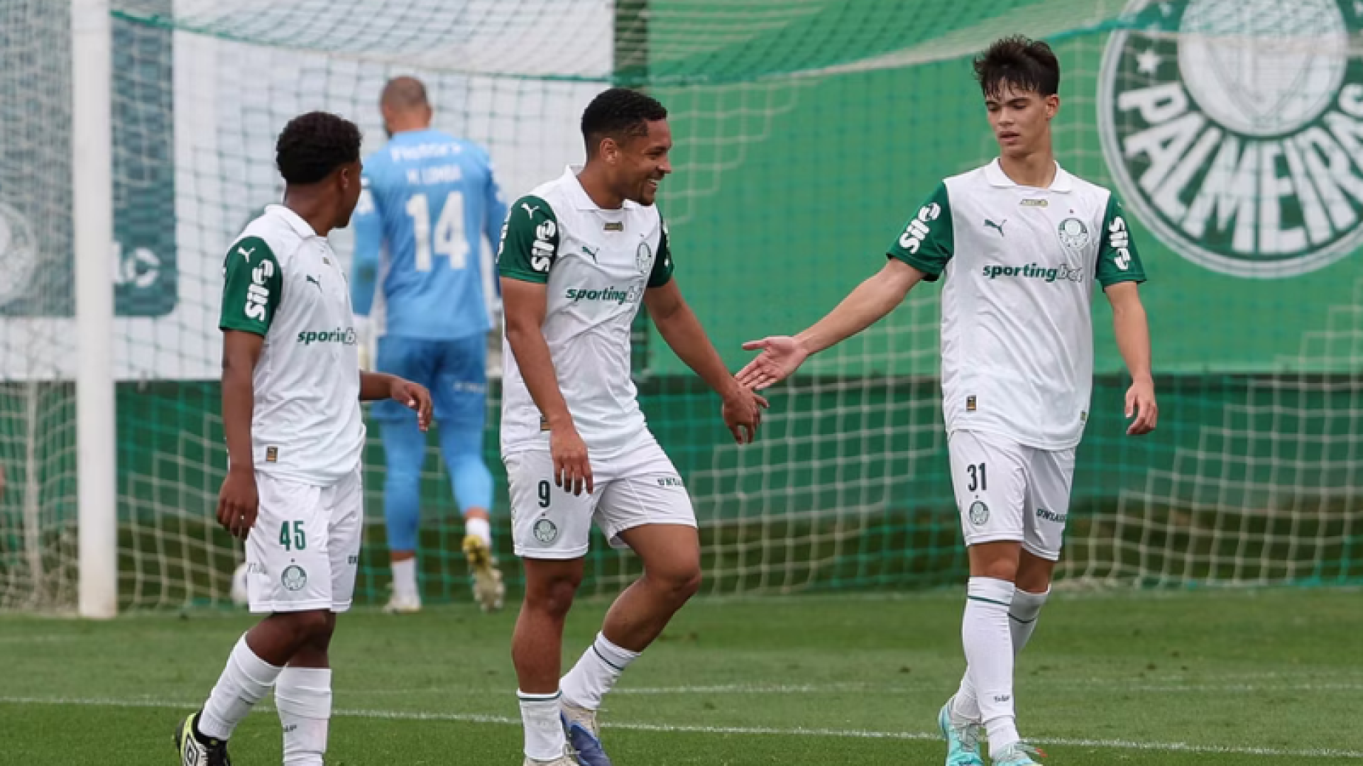 O Palmeiras realizou no sábado (6) um jogo-treino na Academia de Futebol, dividindo o elenco em dois times. O time branco venceu o verde...
