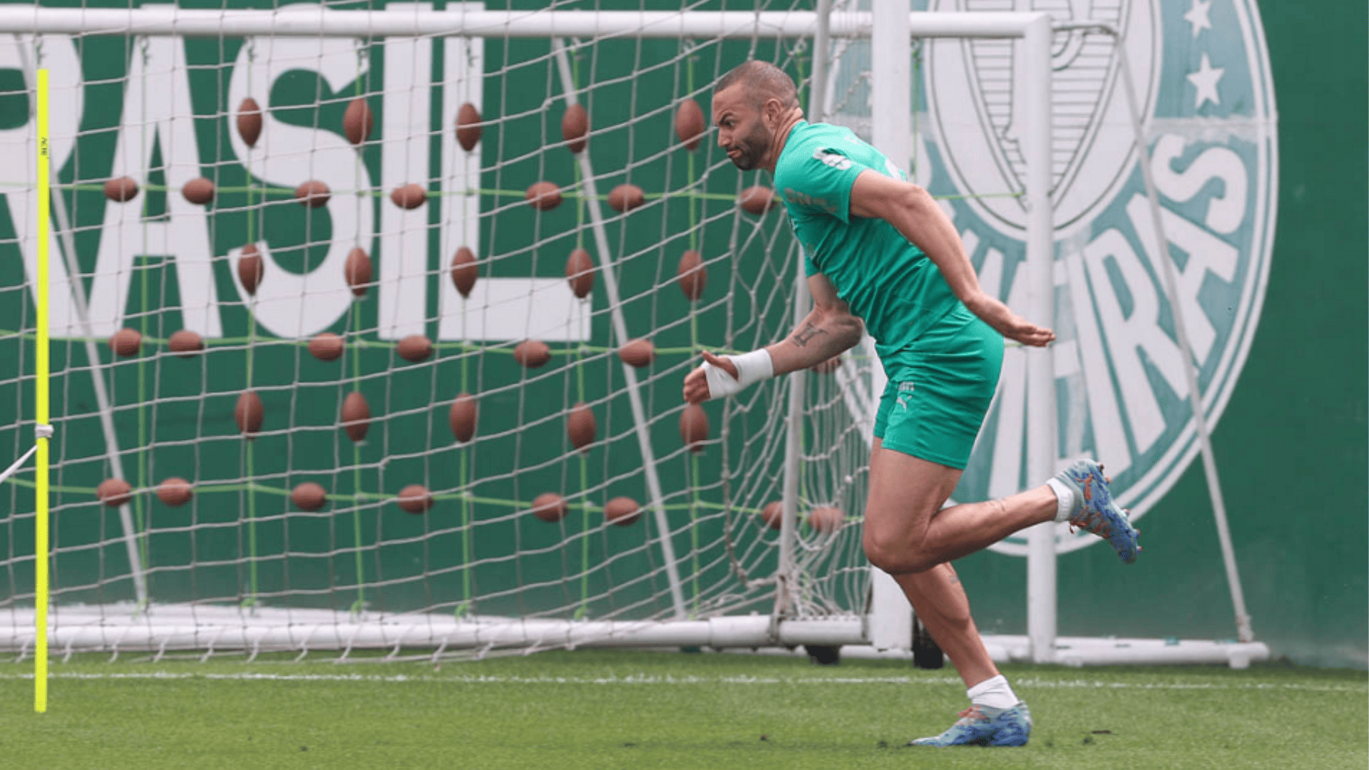 Foto: Cesar Greco / Palmeiras / by Canon
